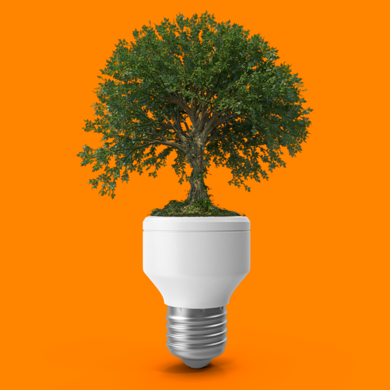 Sertes. El ahorro de energía, un factor clave para las empresas después de la emergencia sanitaria