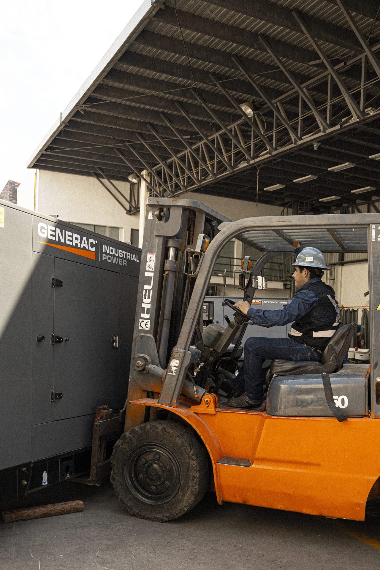 Sertes. Renta de plantas
